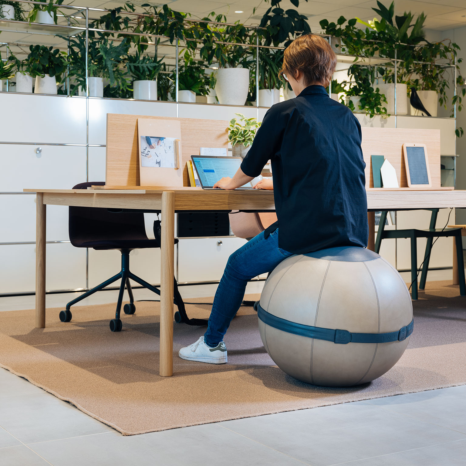 CASINI（カジーニ）AURA Classic バランスボール | LIVING MOTIF｜家具