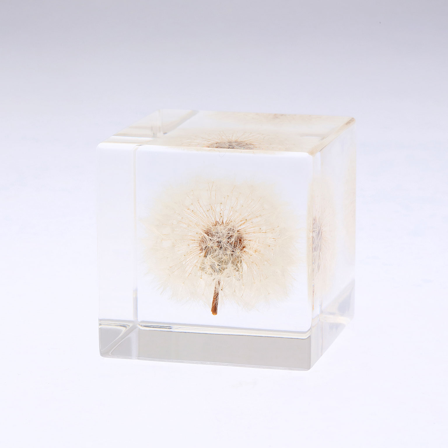 Sola cube｜手のひらの上の「小宇宙」 | LIVING MOTIF｜家具
