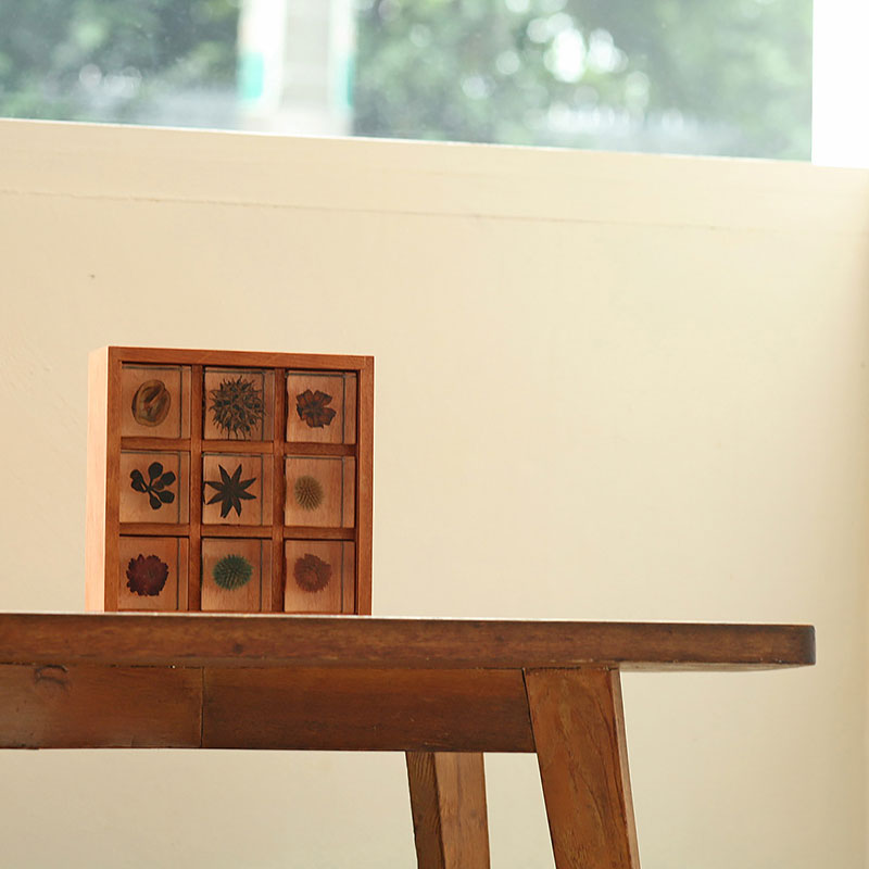宙-sola- ソラ sola cube 標本箱木箱セット（9個入り）lizm