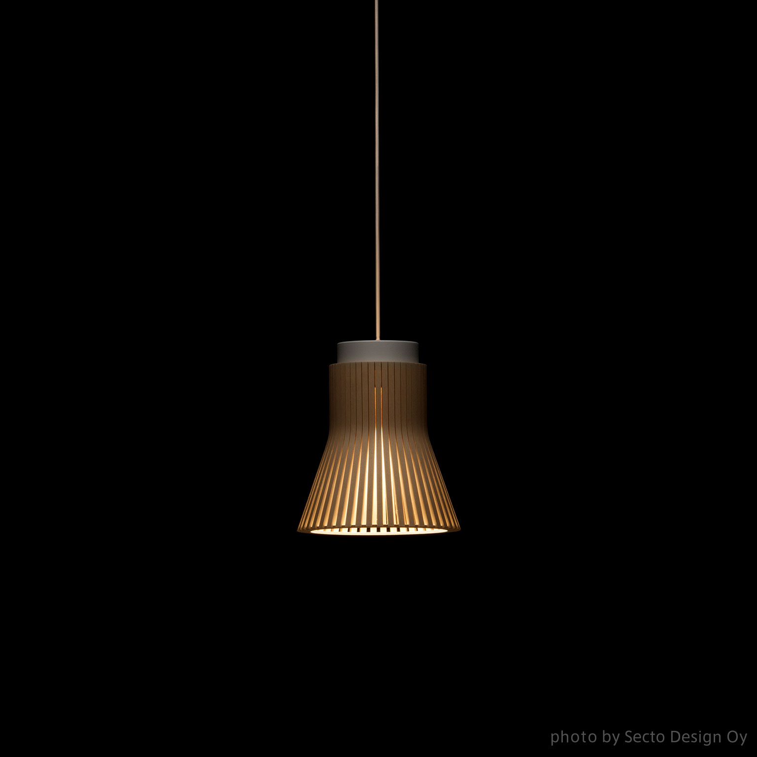 Petite Secto Design（セクト デザイン）Petite 4600 ペンダントランプ | LIVING MOTIF｜家具・インテリアセレクトショップ