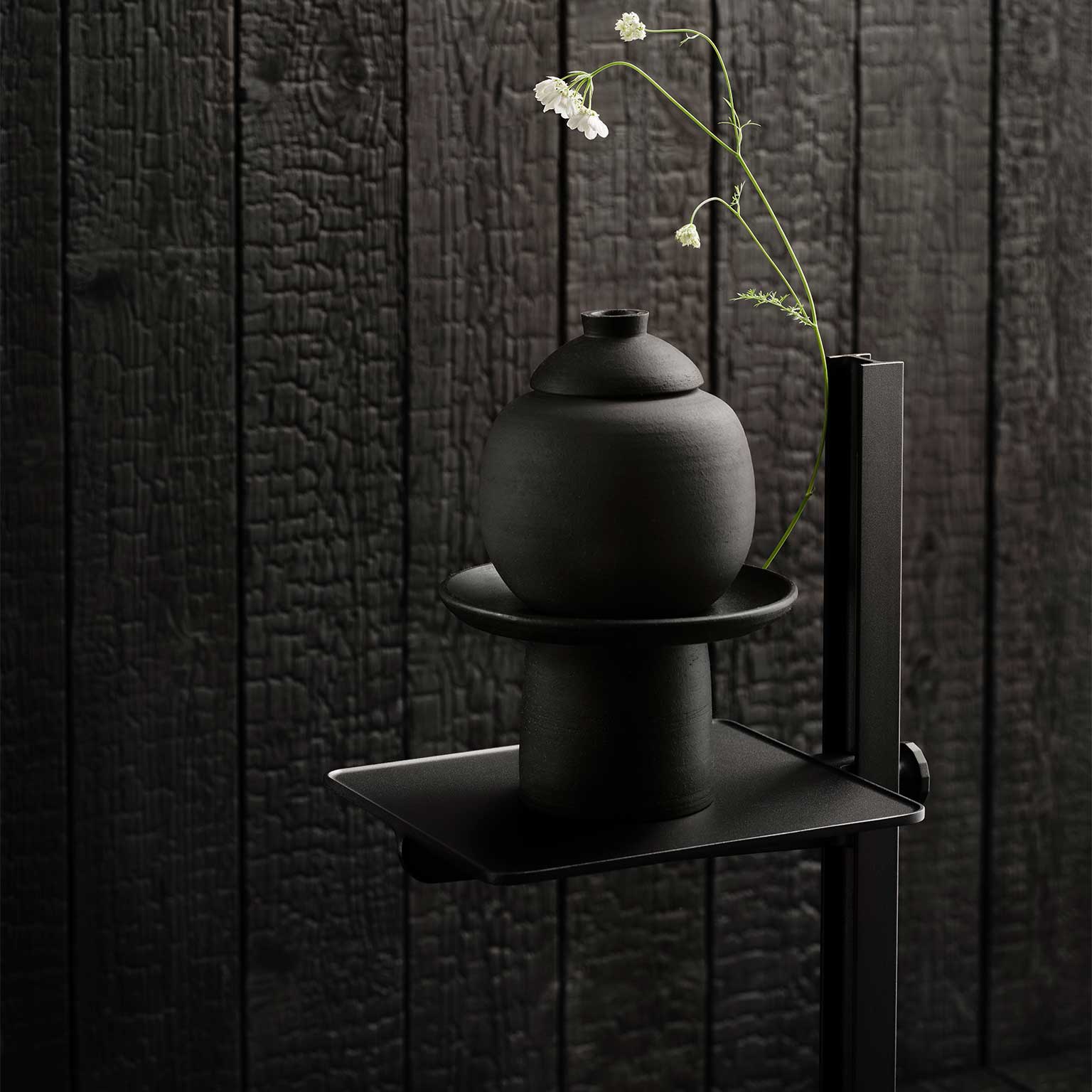 String Furniture（ストリング ファニチャー）［期間限定価格 11/7～12