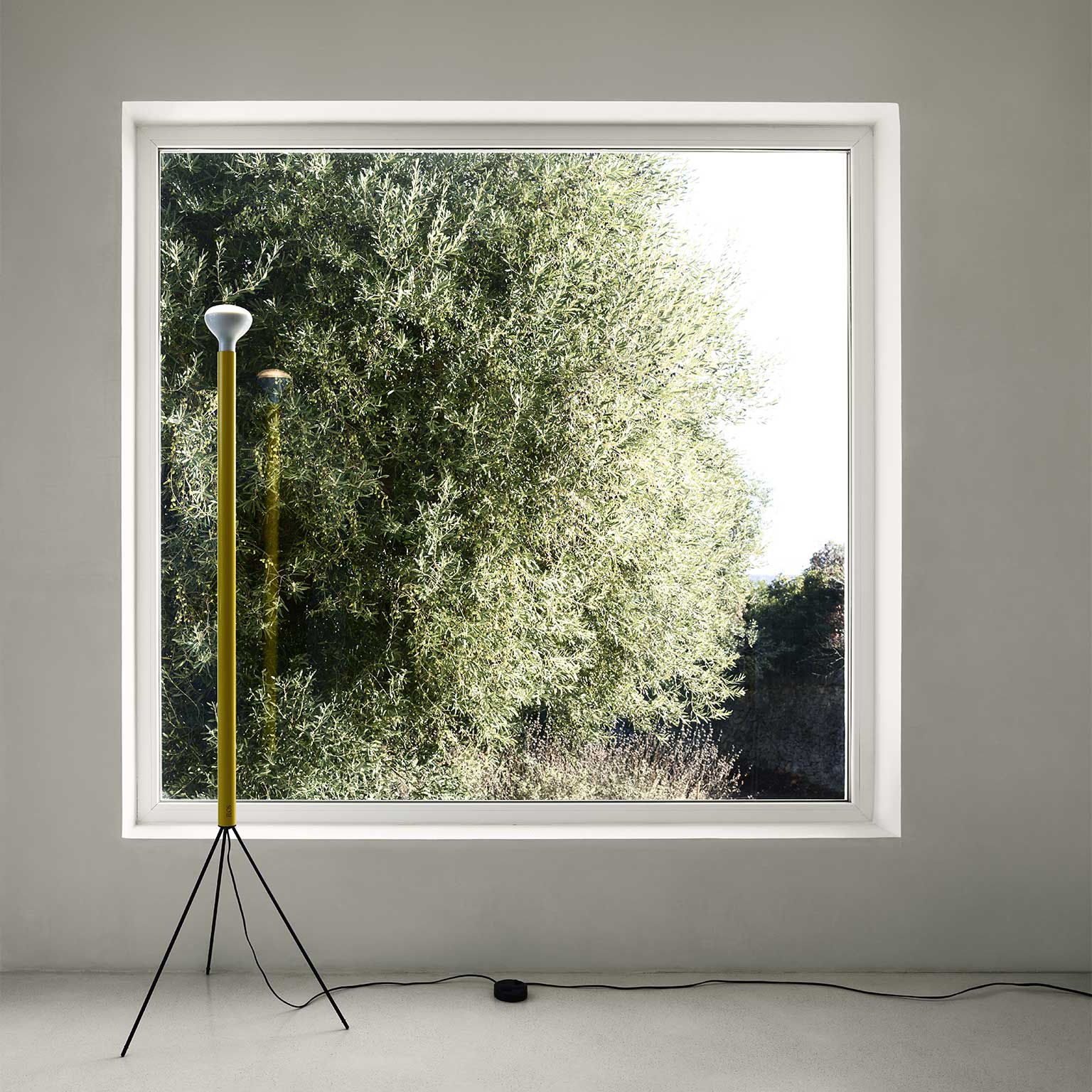 FLOS（フロス）Luminator LED フロアライト ホワイト［取寄せ商品