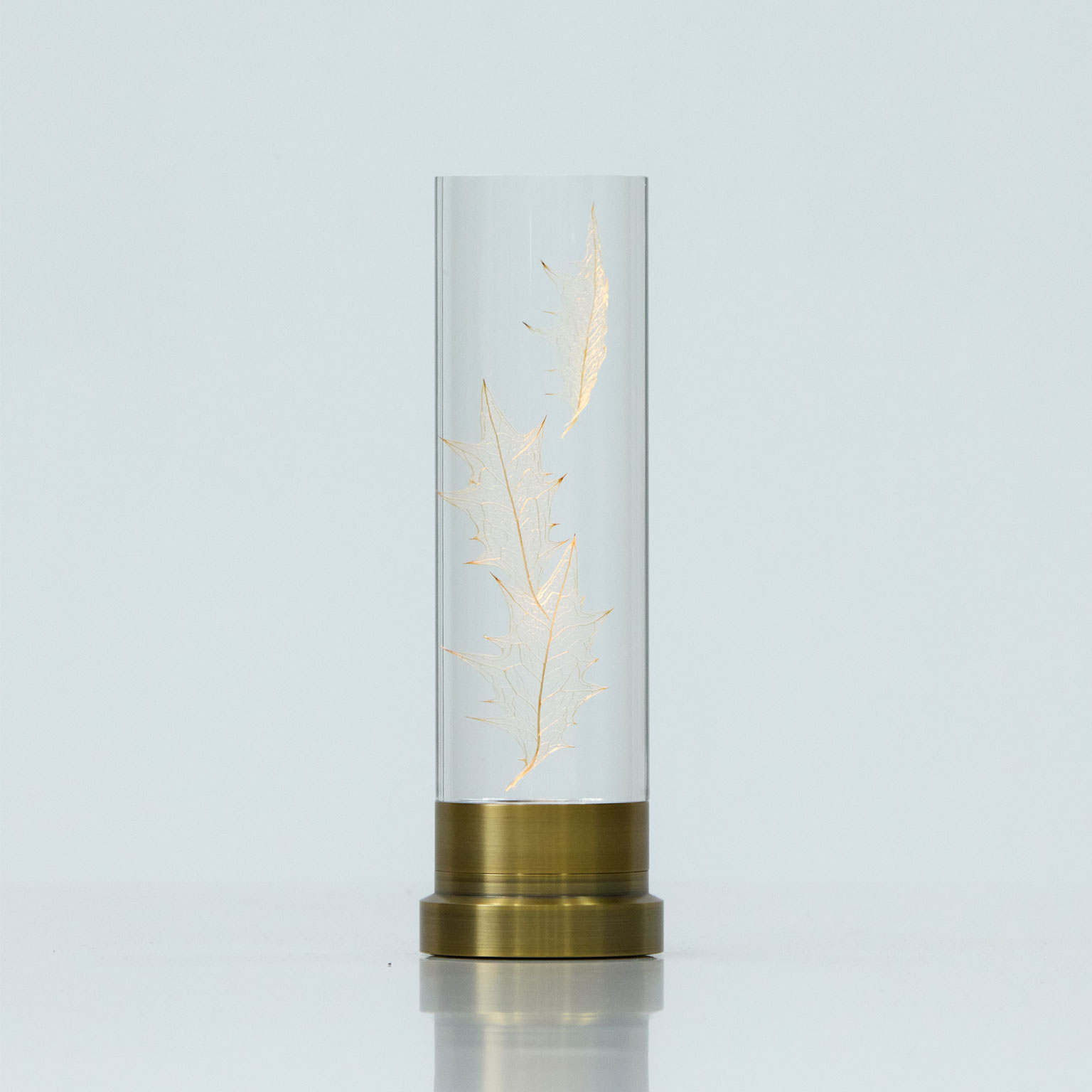 ウサギノネドコ × Ambientec）Sola lume 04 ヒイラギ［数量限定商品