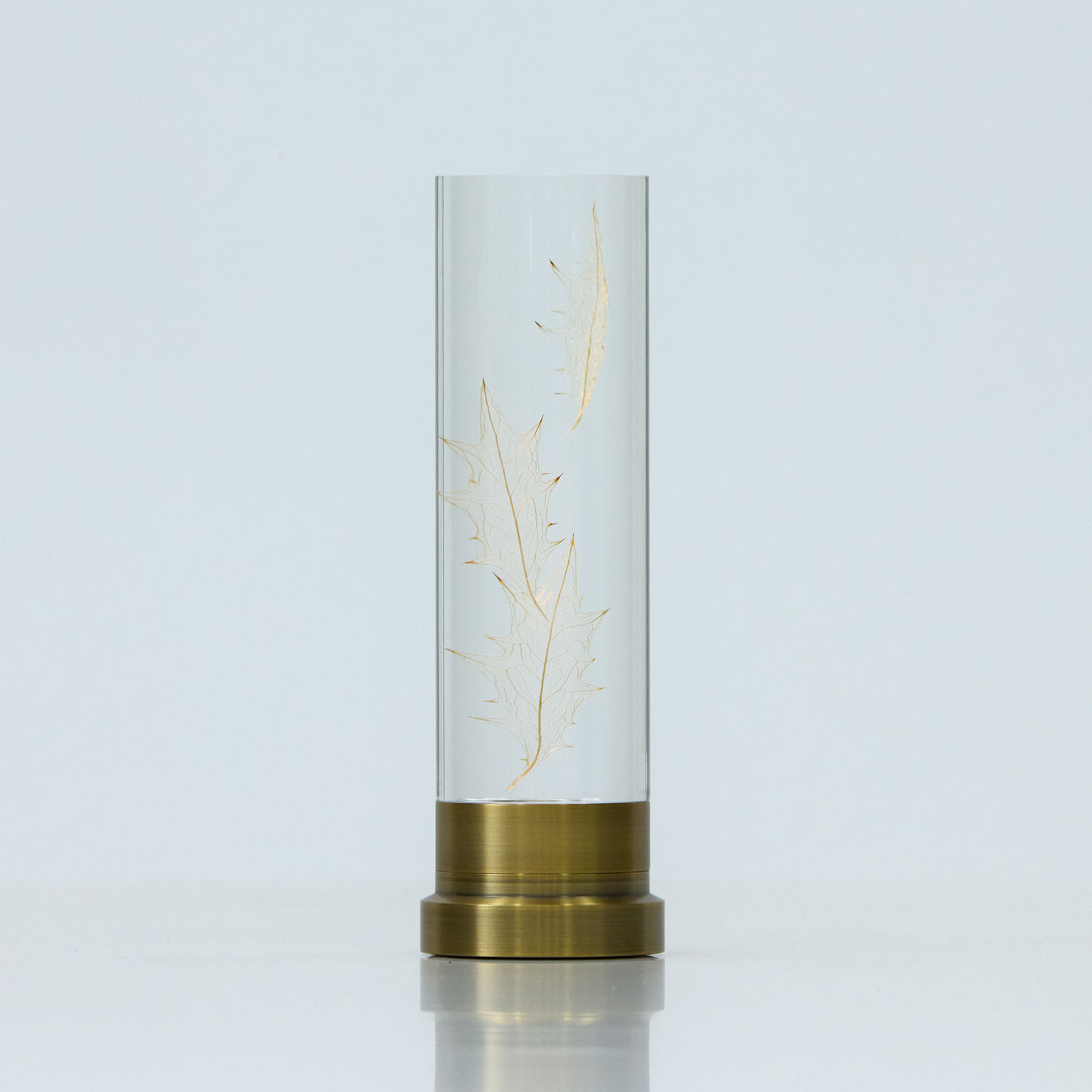 ウサギノネドコ × Ambientec）Sola lume 04 ヒイラギ［数量限定商品