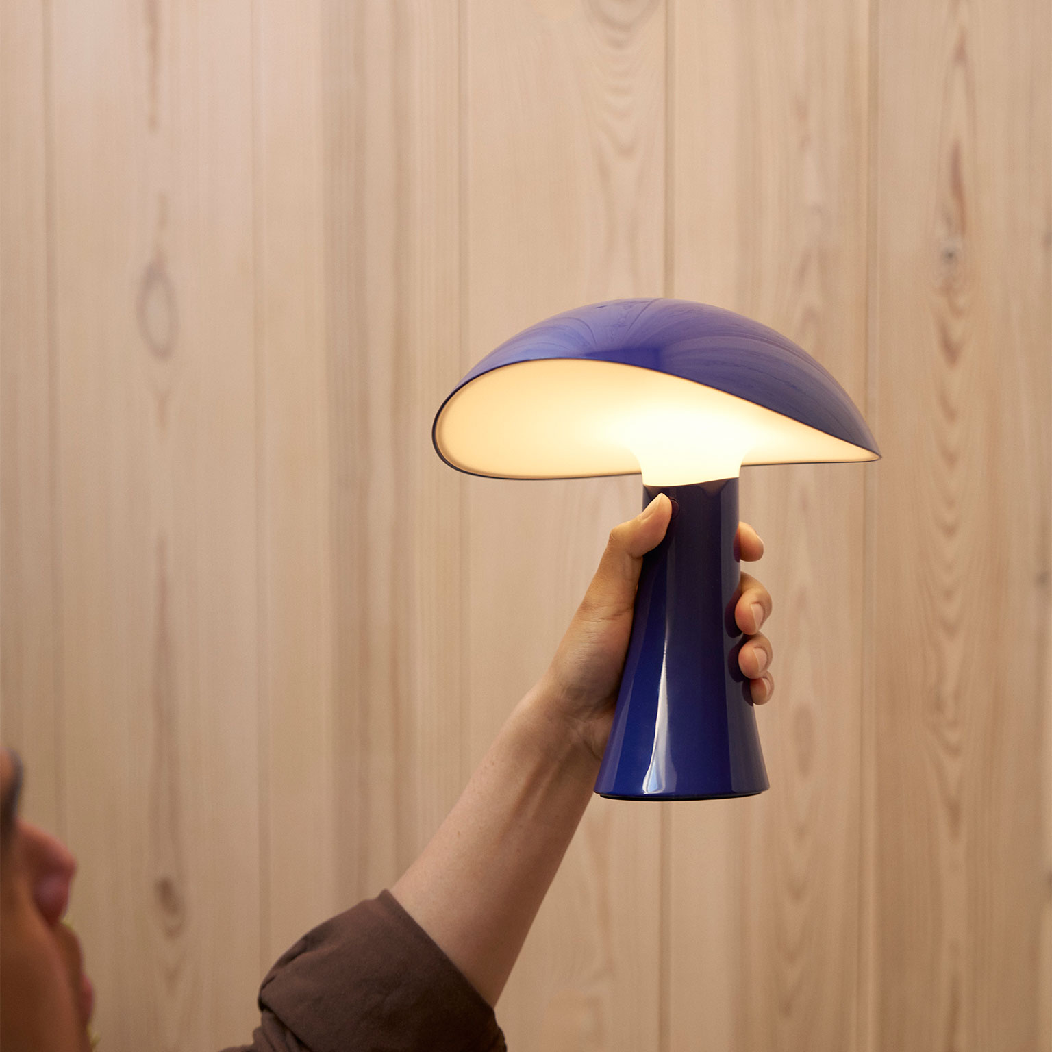 Louis Poulsen（ルイスポールセン）Rumee 220 ポータブル Night blue 
