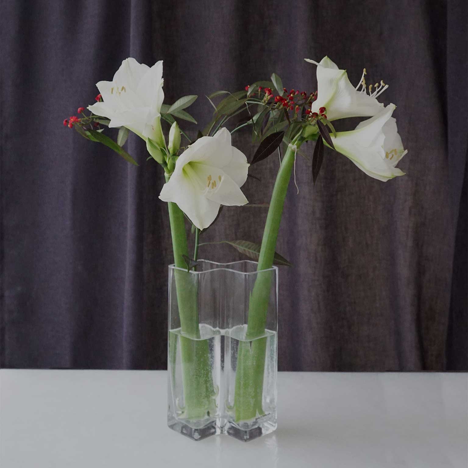 Born in Sweden（ボーン イン スウェーデン）Row ベース 2 H22 クリア