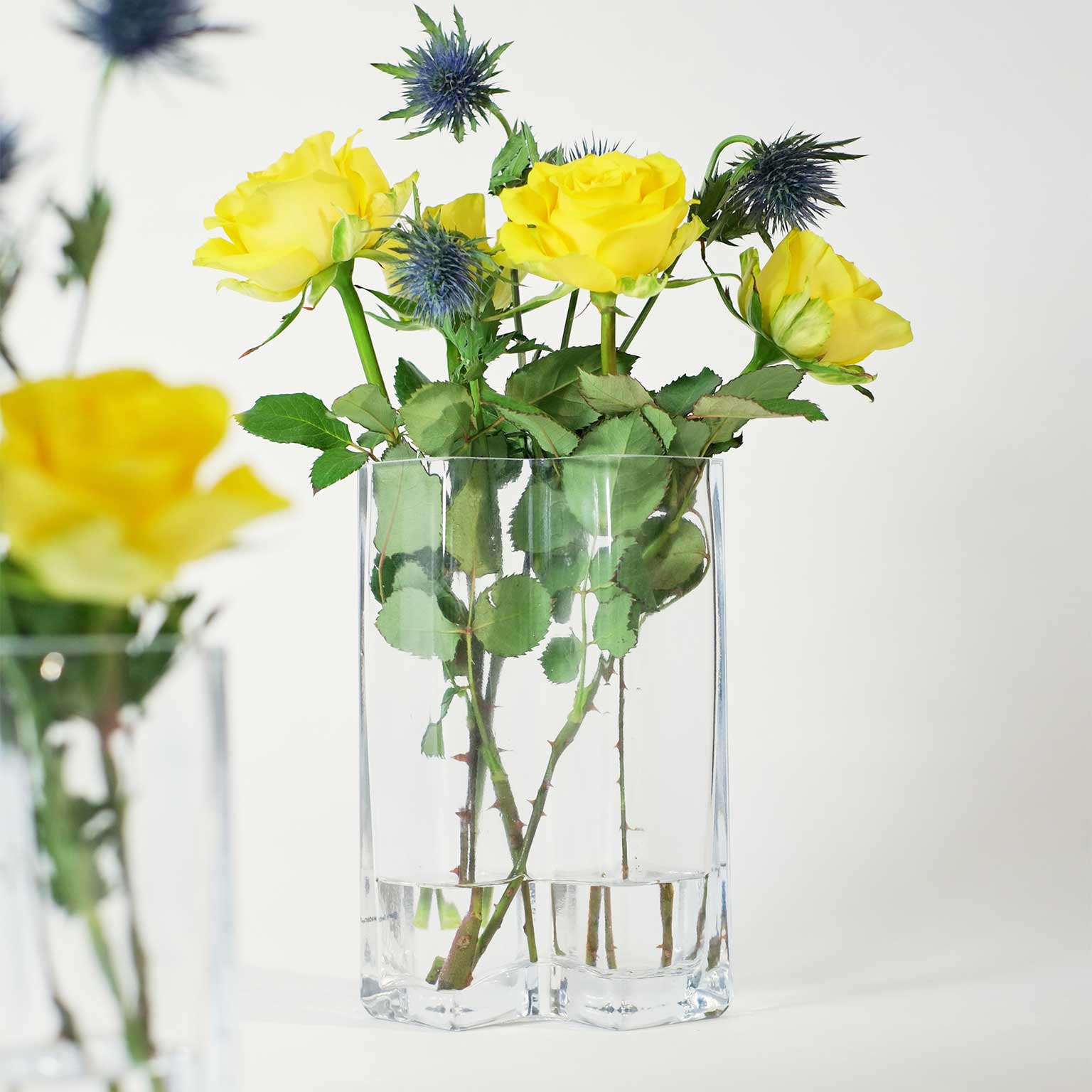 Born in Sweden（ボーン イン スウェーデン）Row ベース 2 H22 クリア