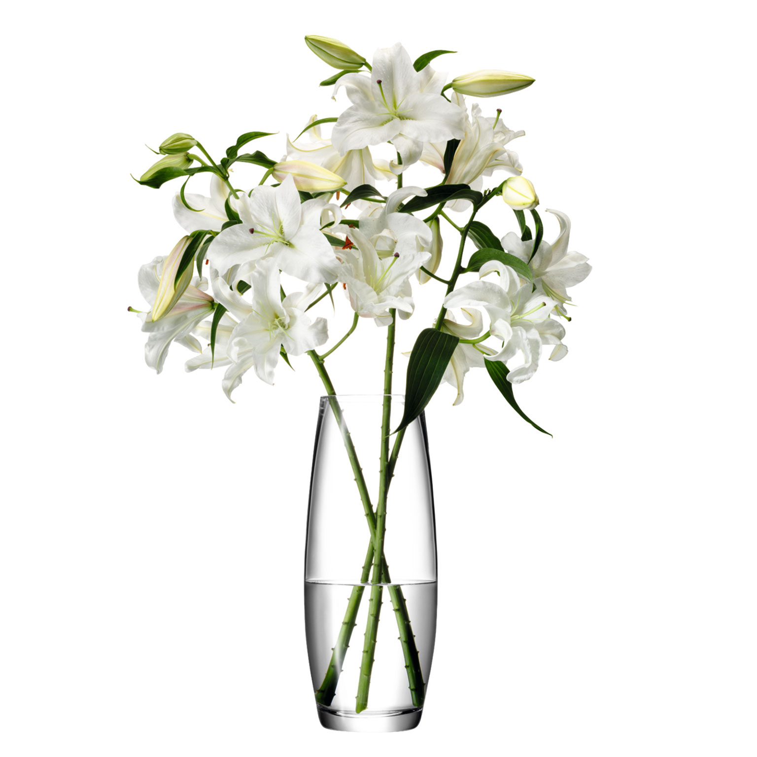 LSA（エルエスエー）FLOWER Grand Stem ベース H41 | LIVING MOTIF