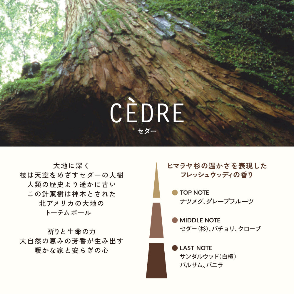 ESTEBAN（エステバン）iCONiC COLOR カルマンキャンドル セダー