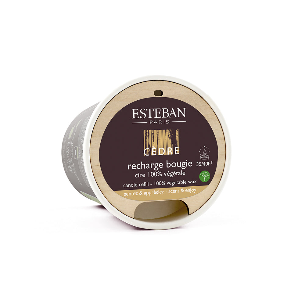 ESTEBAN（エステバン）ICONIC COLOR カルマンキャンドル テッケトンカ