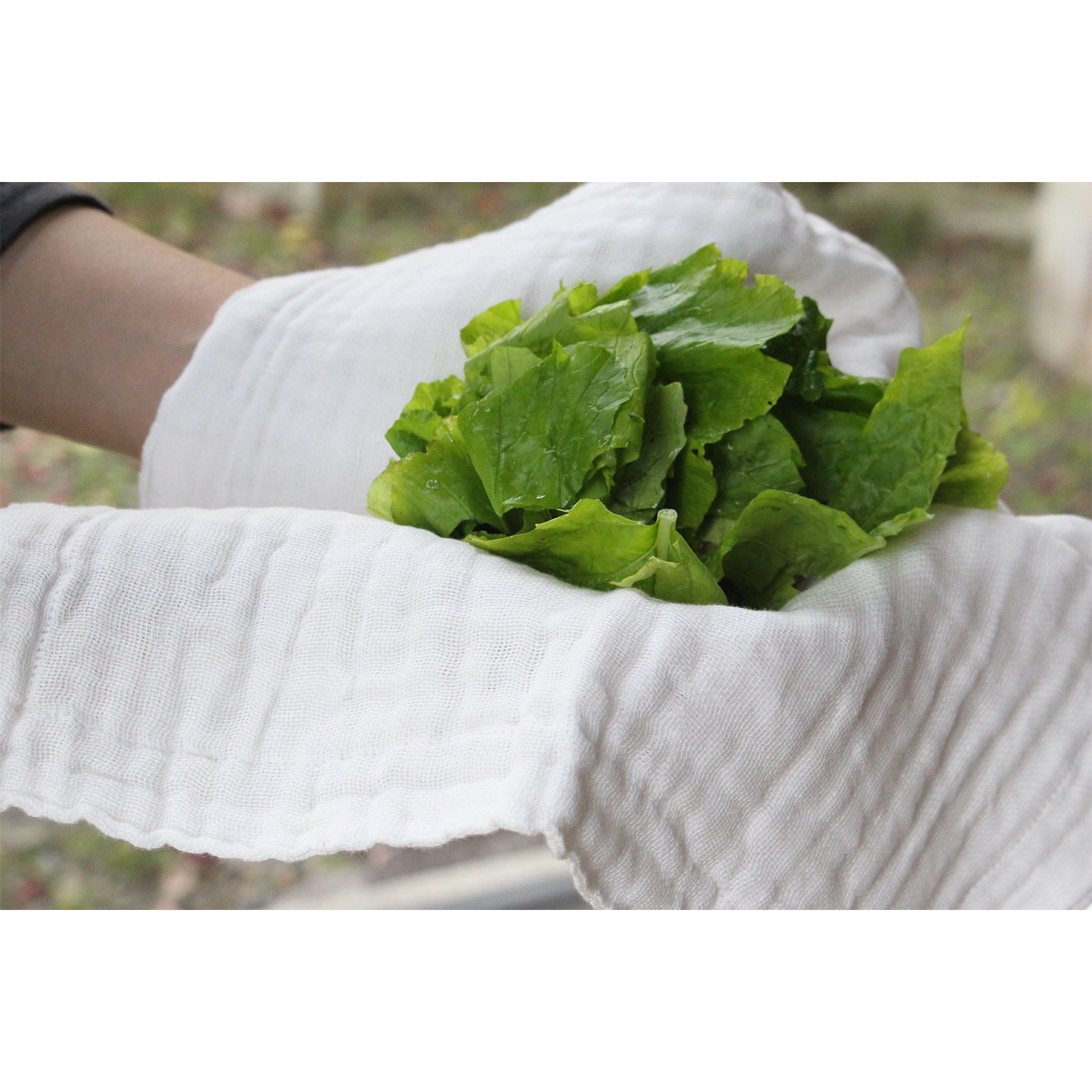 BAN INOUE（バン イノウエ）かや棉ふきん つるばみ | LIVING MOTIF