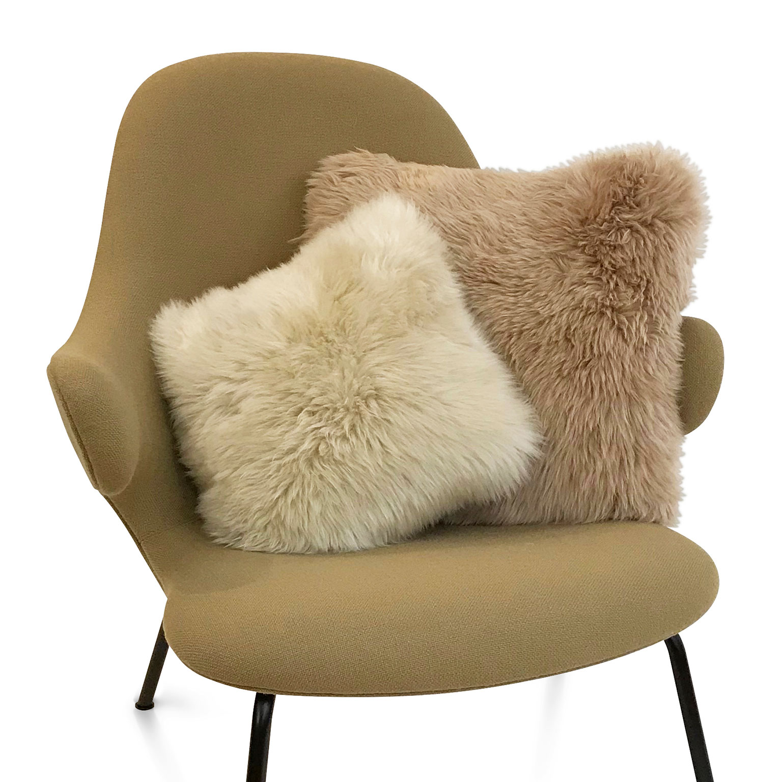 Natures Collection（ネイチャーズコレクション）シープクッション 50