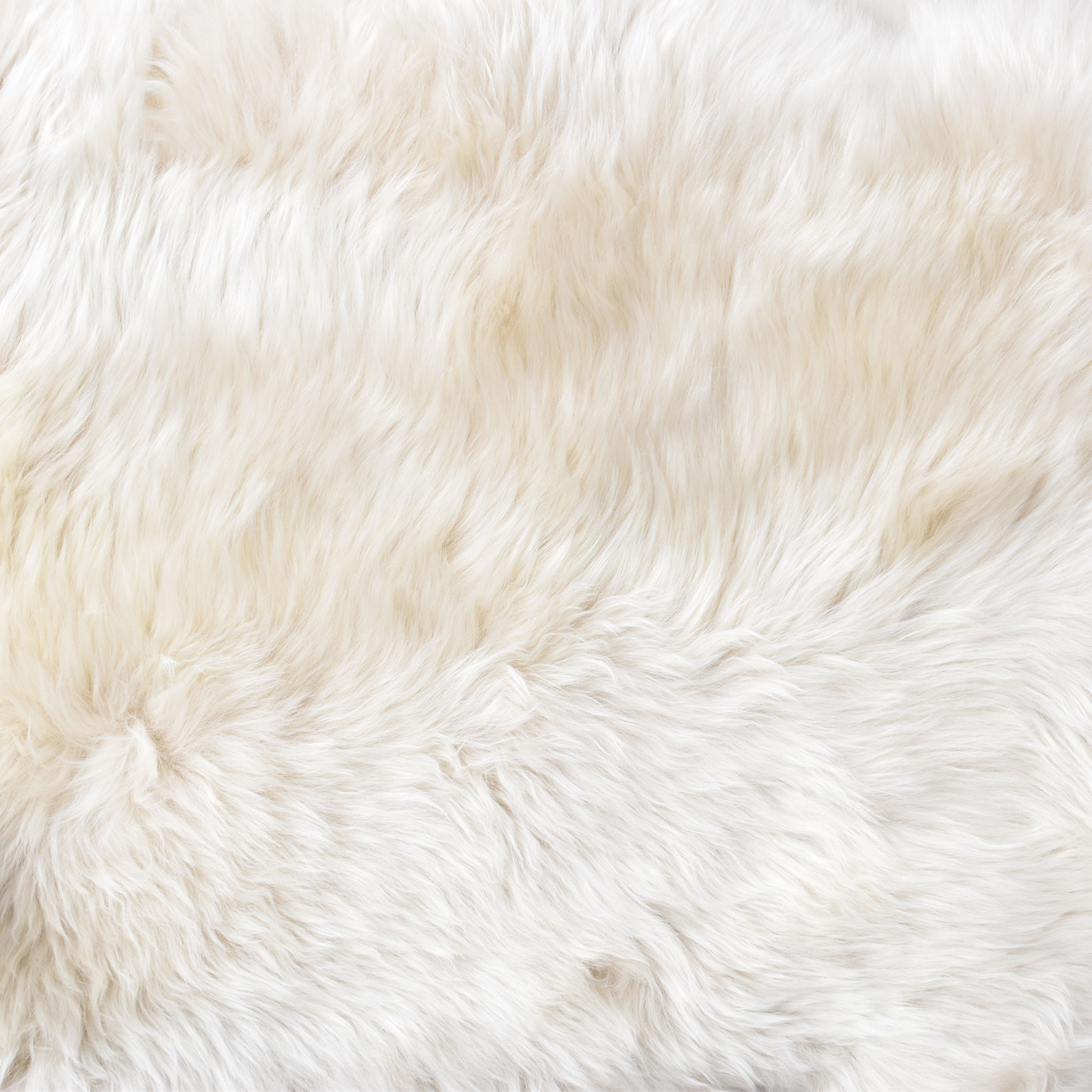 Natures Collection（ネイチャーズコレクション）SHEEP SKIN ラグ