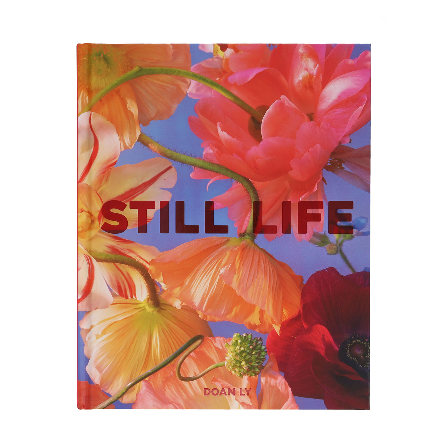 Still Life. | LIVING MOTIF｜家具・インテリアセレクトショップ
