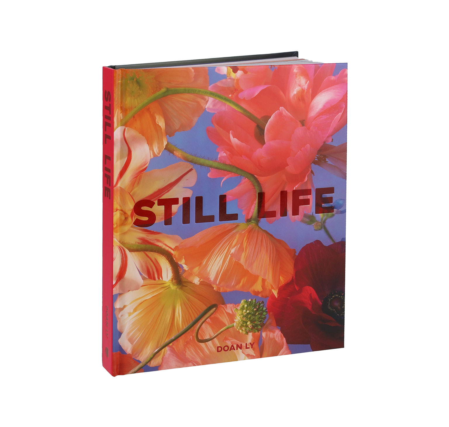 Still Life. | LIVING MOTIF｜家具・インテリアセレクトショップ