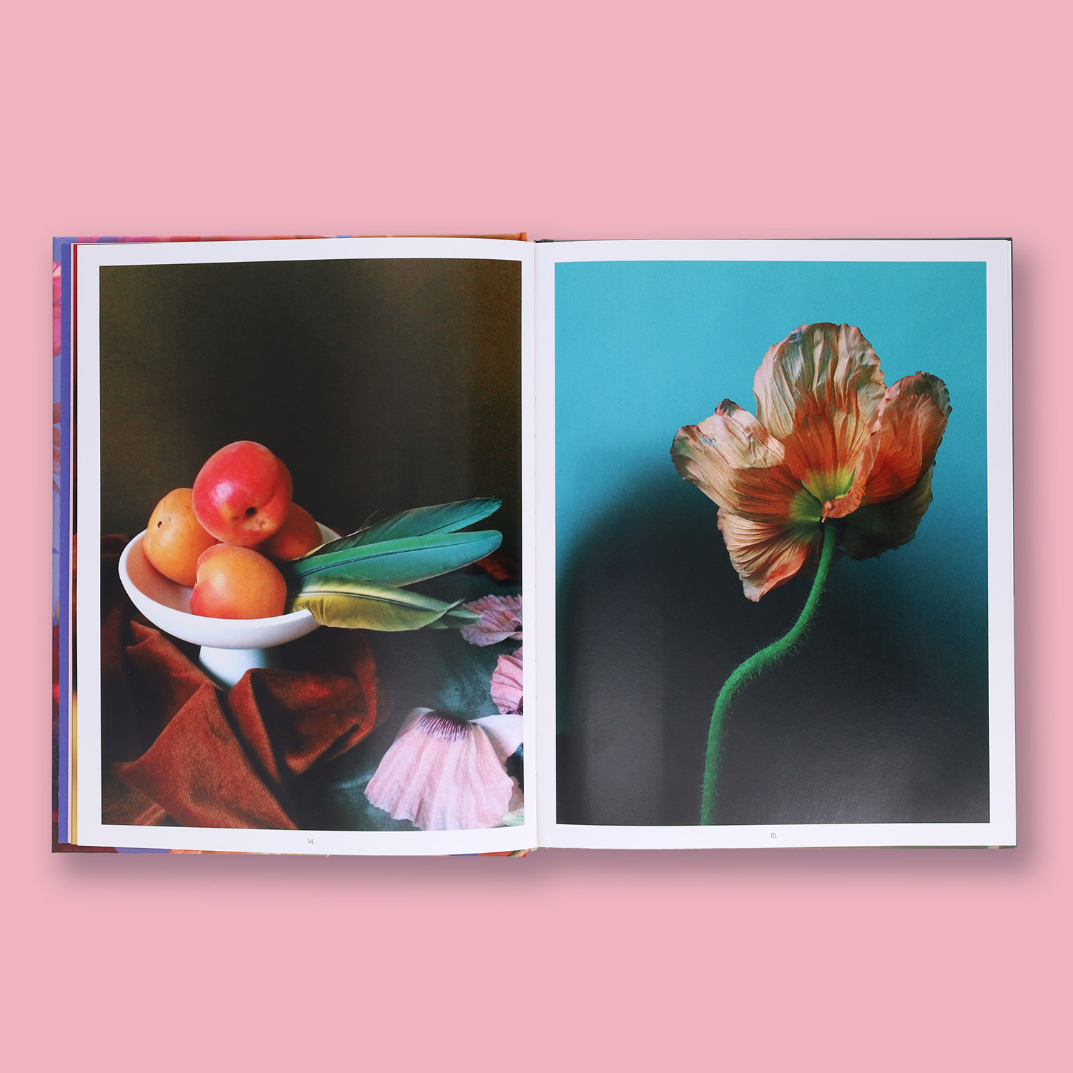 Still Life. | LIVING MOTIF｜家具・インテリアセレクトショップ