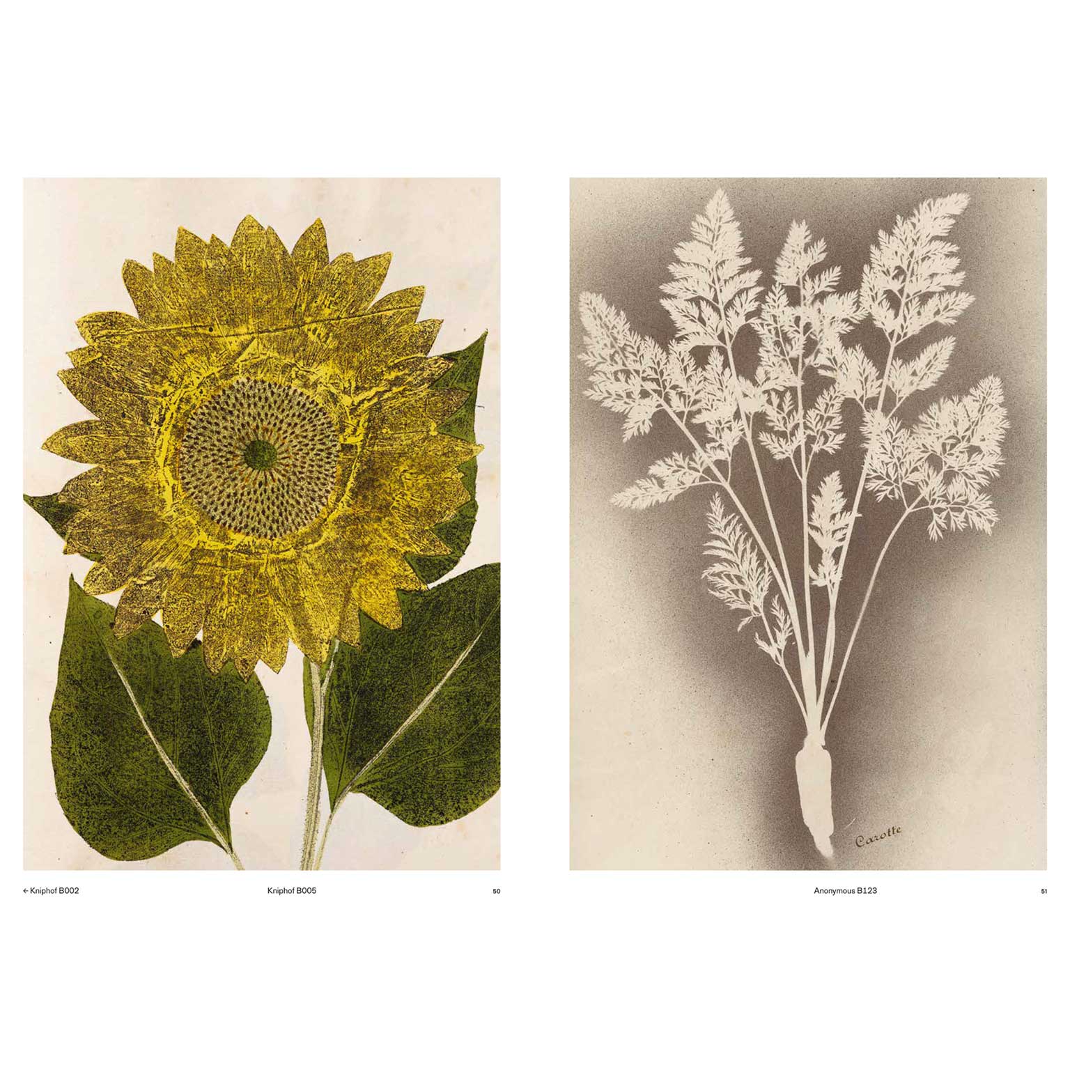 Capturing Nature : 150 Years of Nature Printing | LIVING MOTIF