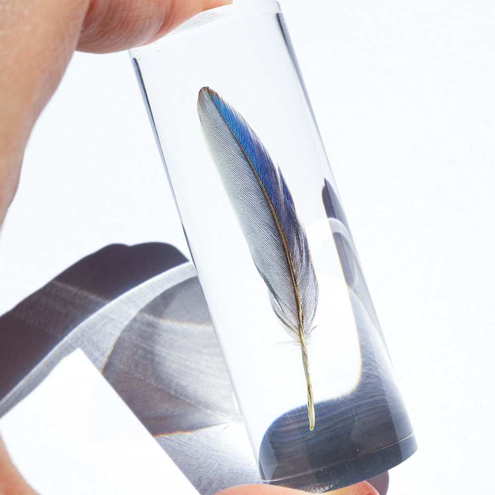 Sola cube（ソラキューブ）Sola cube Slice 蛍光ピンク | LIVING MOTIF