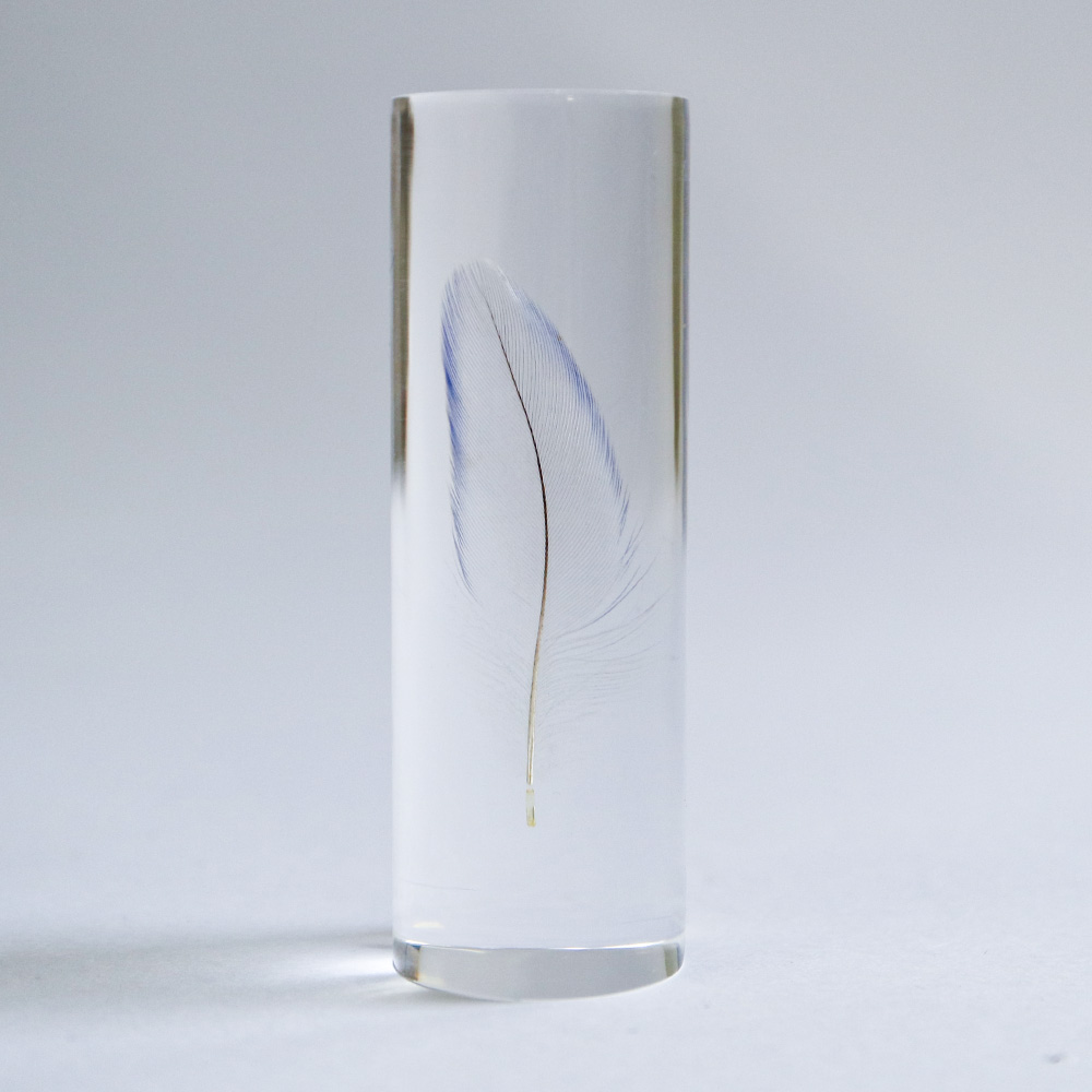 Sola cube（ソラキューブ）セキセイインコの羽 SS ブルー | LIVING