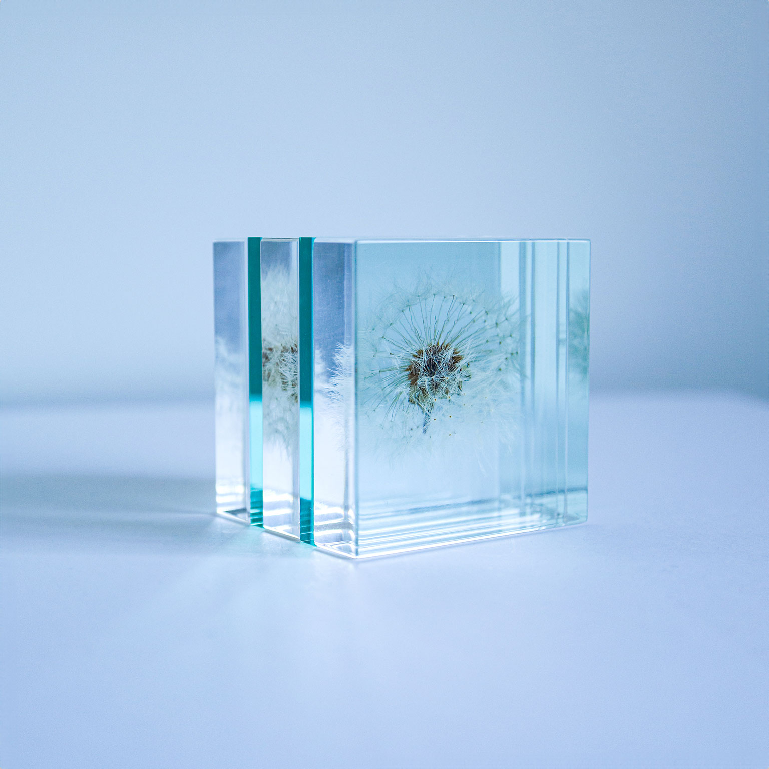 Sola cube（ソラキューブ）タンポポ | LIVING MOTIF｜家具
