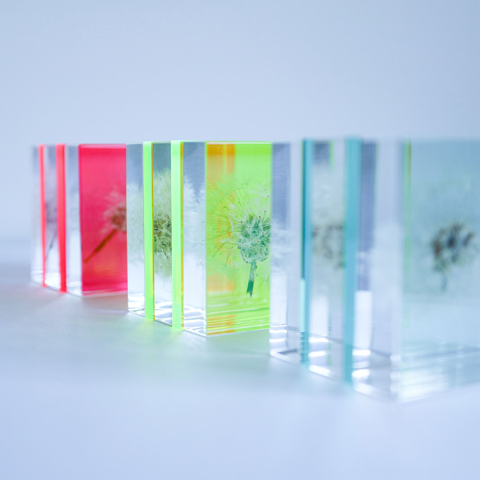 Sola cube（ソラキューブ）Sola cube Slice 蛍光ピンク | LIVING