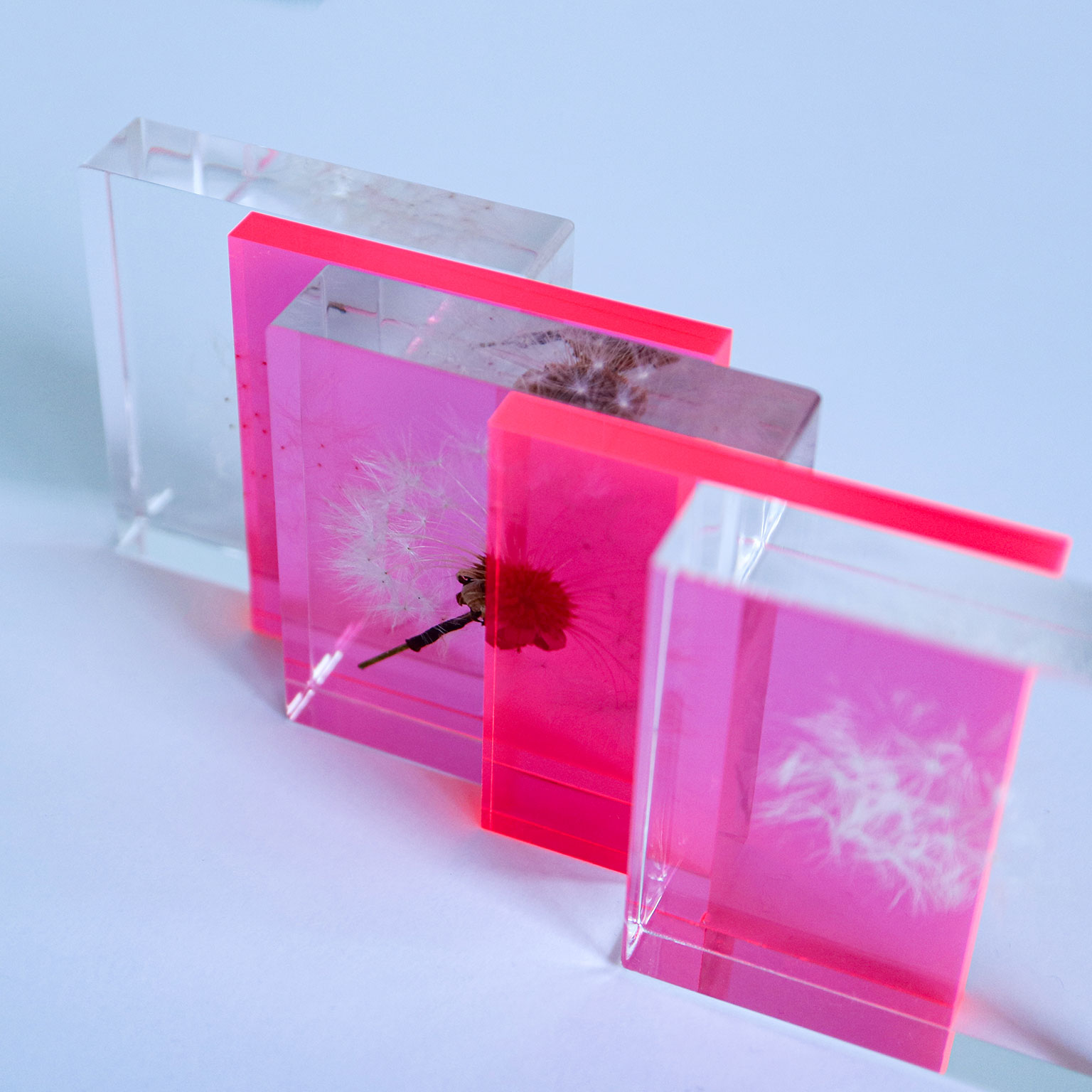 Sola cube（ソラキューブ）Sola cube Slice 蛍光ピンク | LIVING