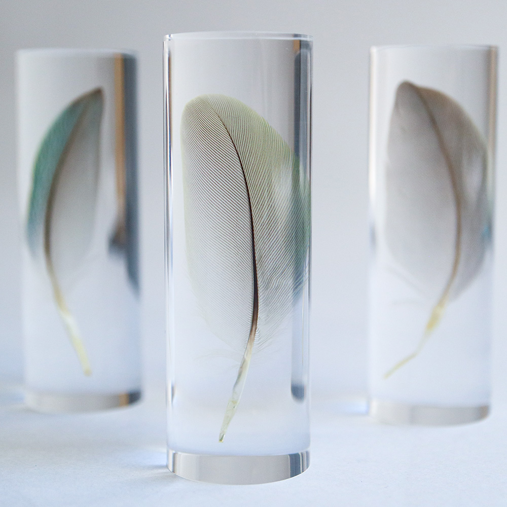 Sola cube（ソラキューブ）コザクラインコの羽 SS グリーン | LIVING