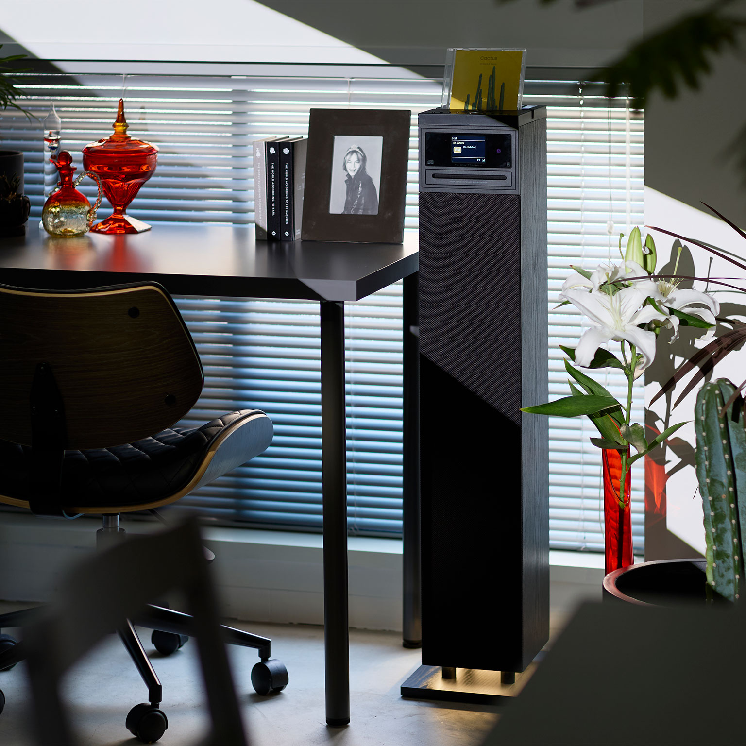 Sit Back＆Relax（シットバックアンドリラックス）Cactus スピーカー