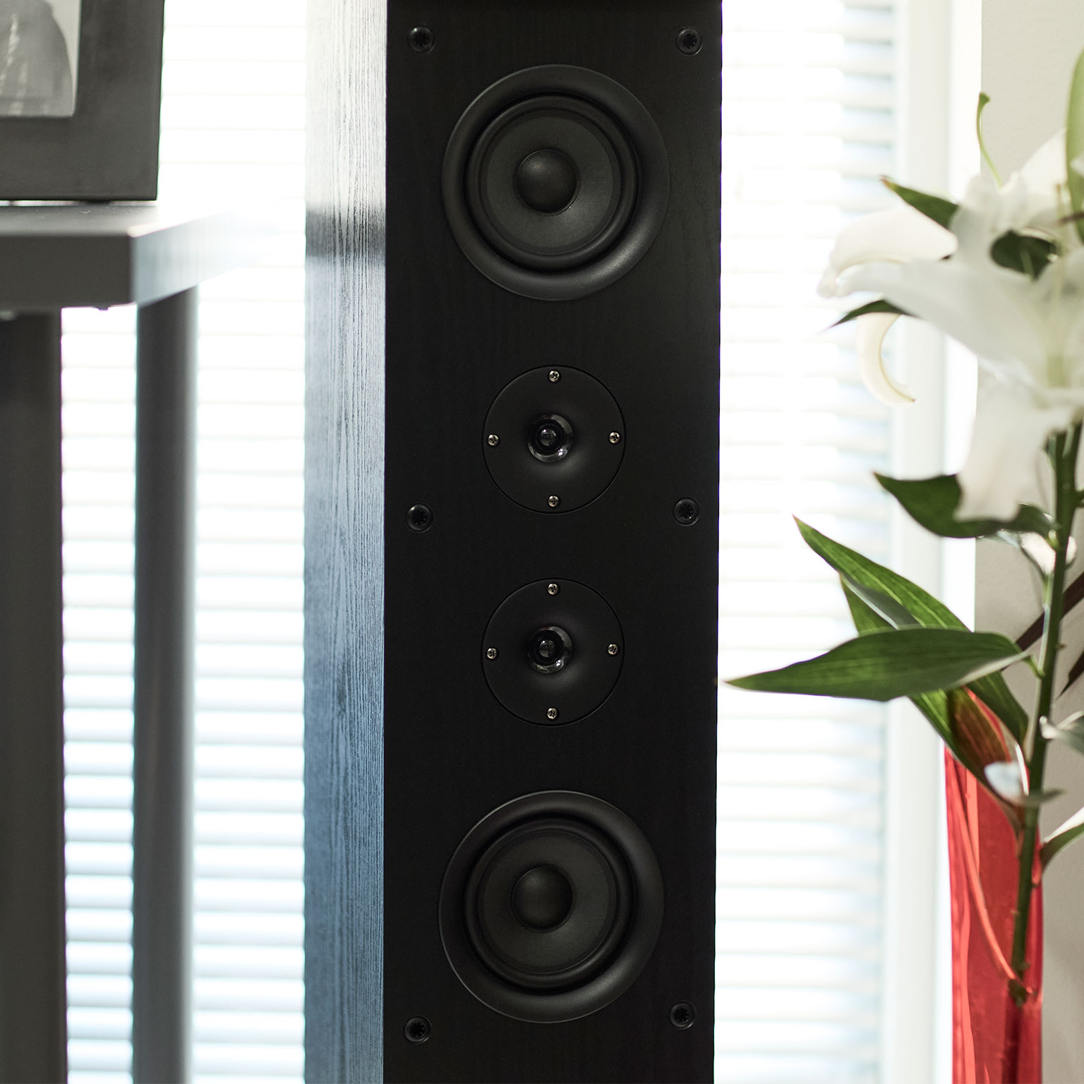 Sit Back＆Relax（シットバックアンドリラックス）Cactus スピーカー