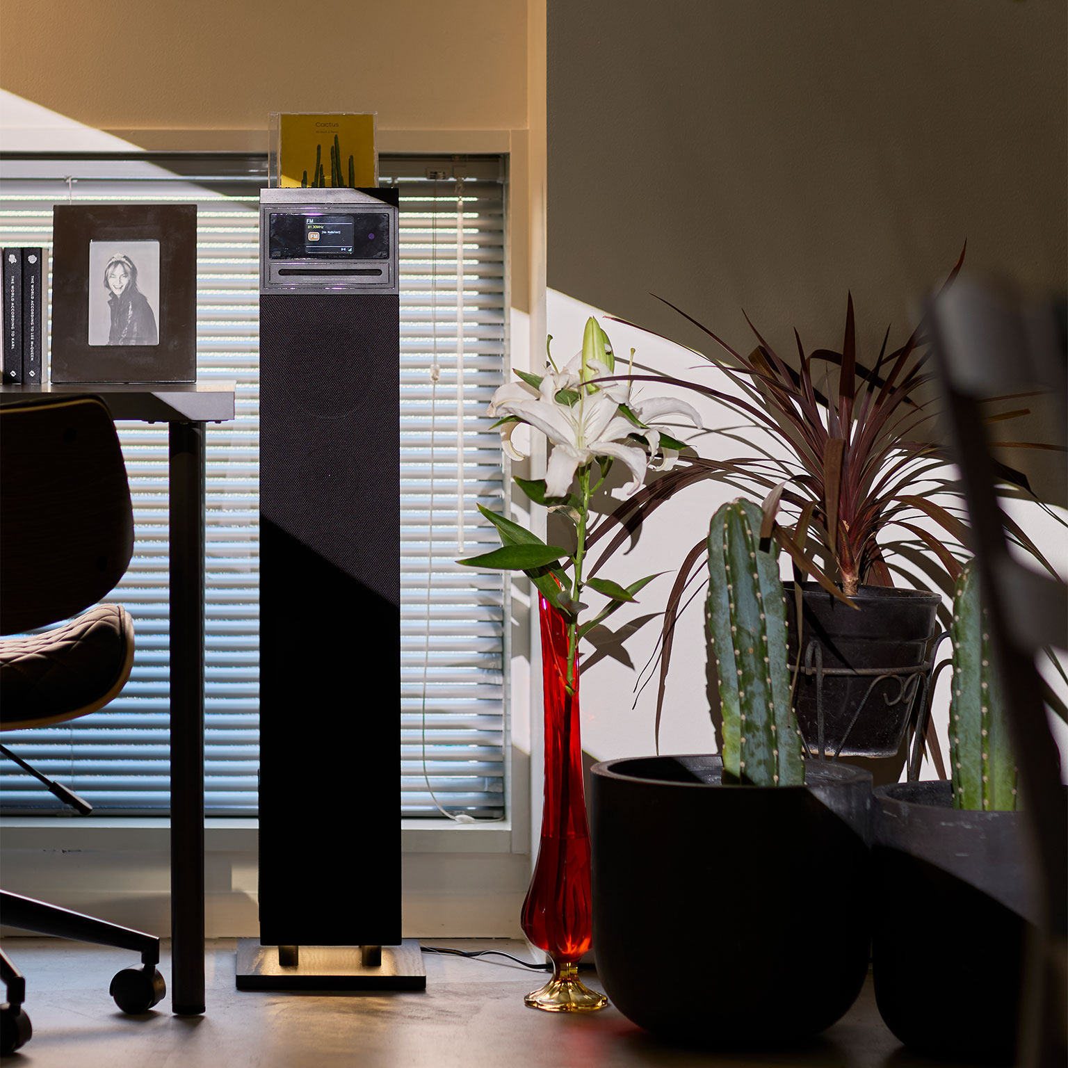 Sit Back＆Relax（シットバックアンドリラックス）Cactus スピーカー