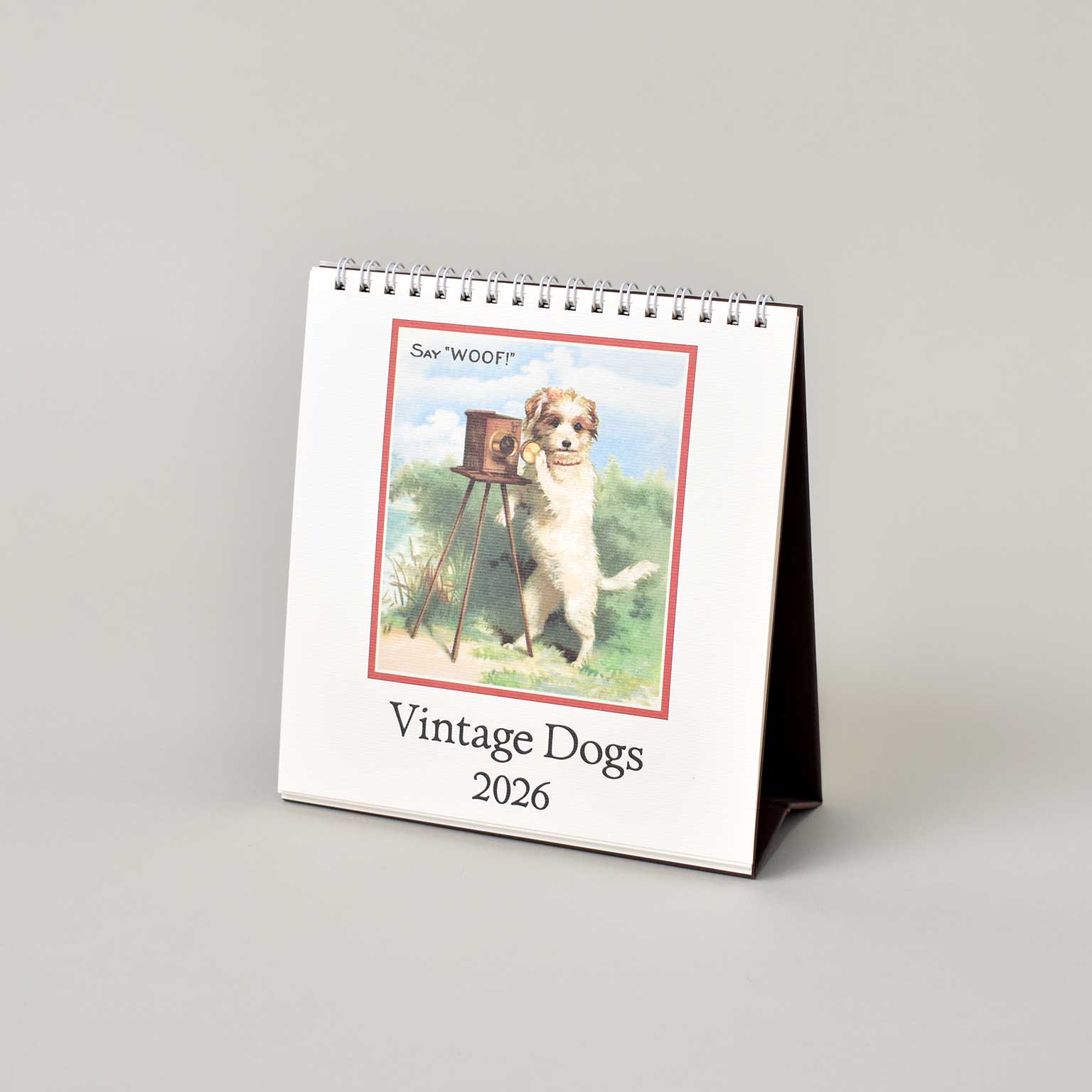 CAVALLINI（カヴァリーニ）Deskカレンダー 2026 Vintage Dogs | LIVING
