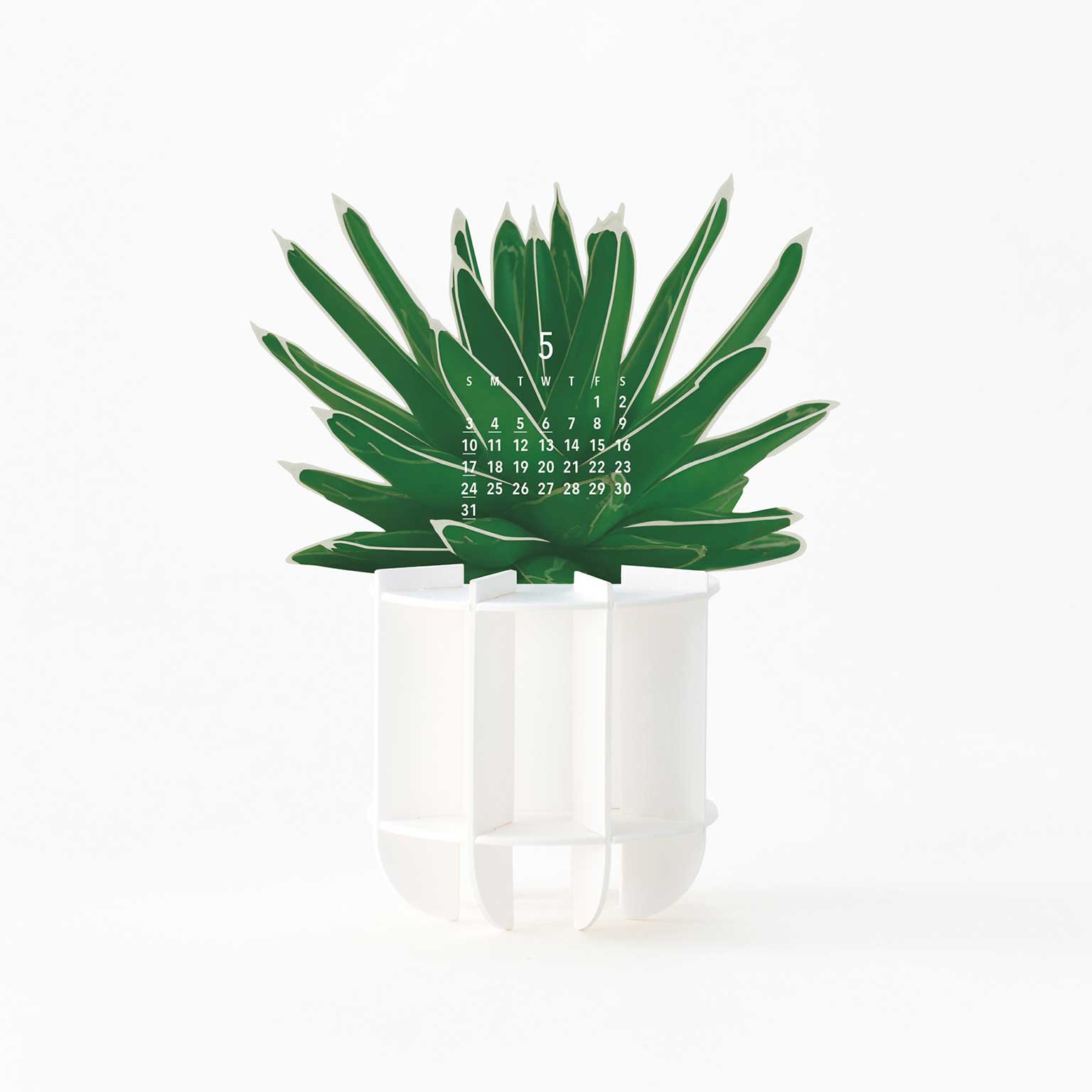 good morning（グッドモーニング）カレンダー Green 2026 | LIVING