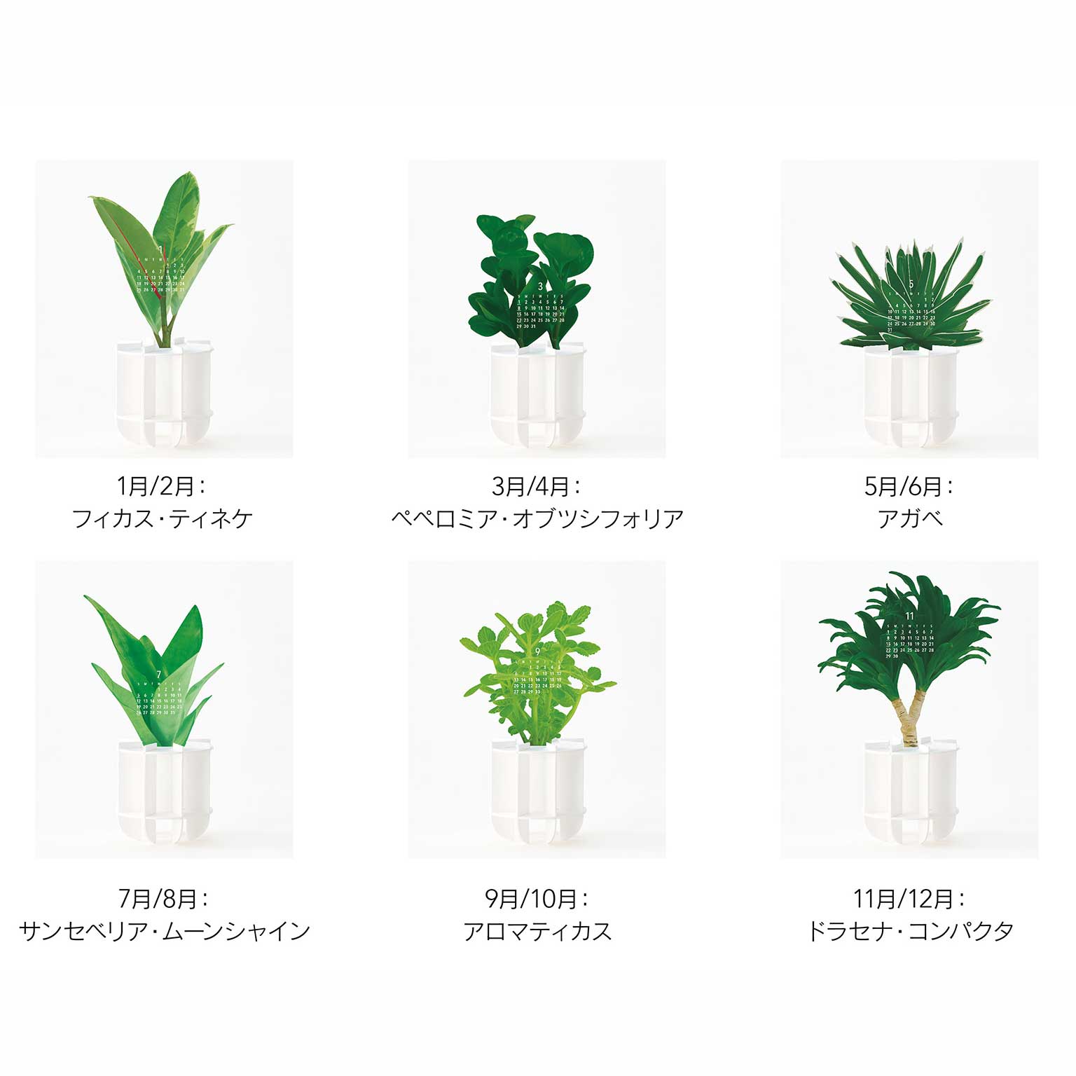 good morning（グッドモーニング）カレンダー Green 2026 | LIVING