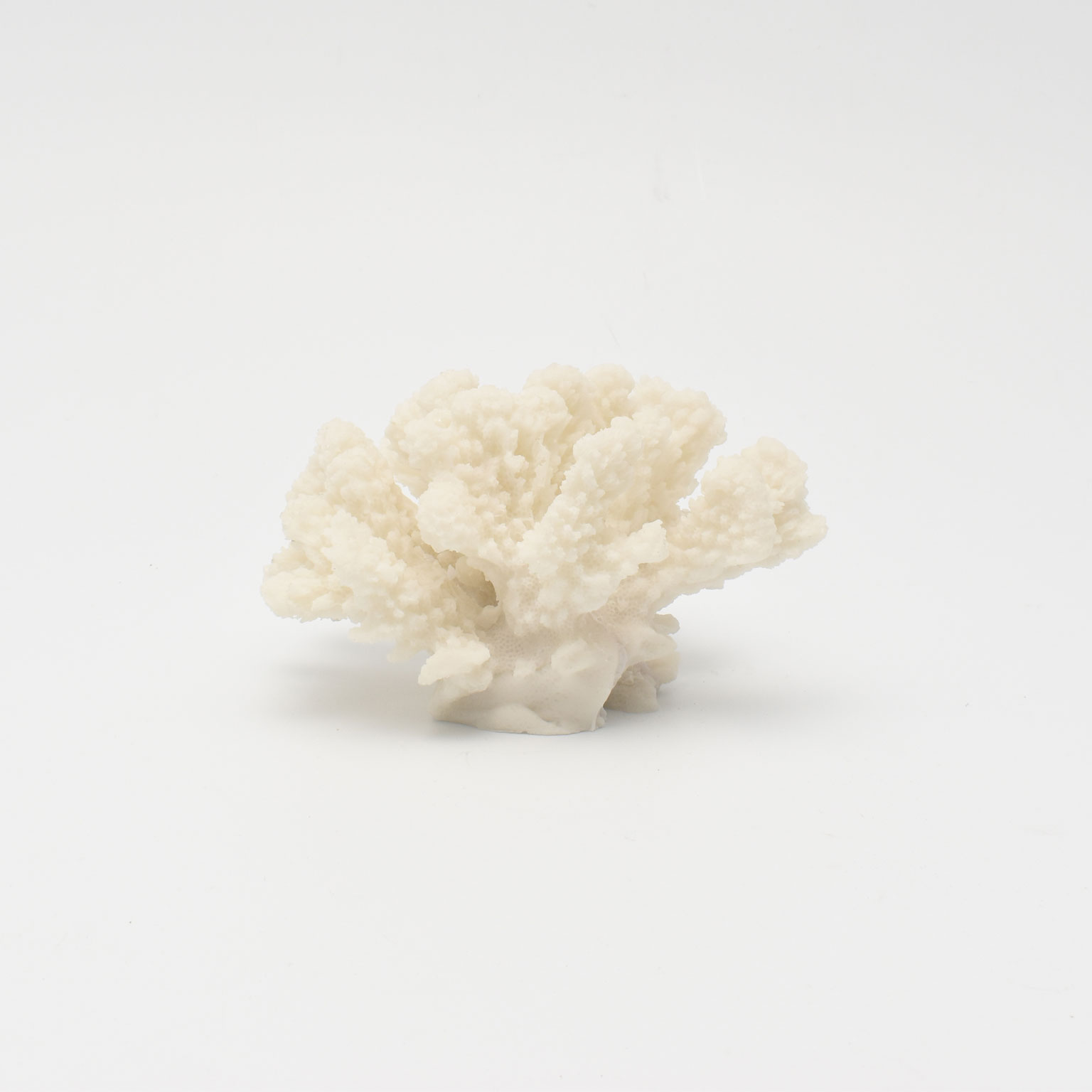 METTE DITMER（メッテ ディトマー）CORAL-Branches オブジェ | LIVING 
