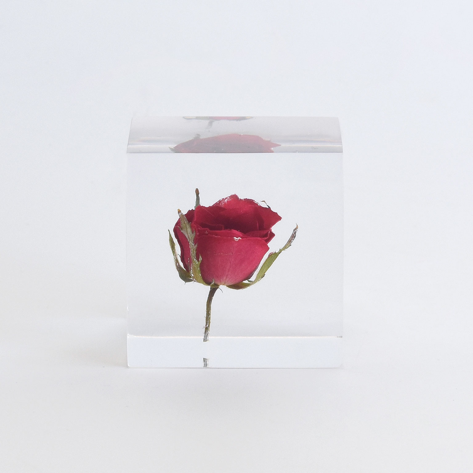 Sola cube（ソラキューブ）バラ | LIVING MOTIF｜家具