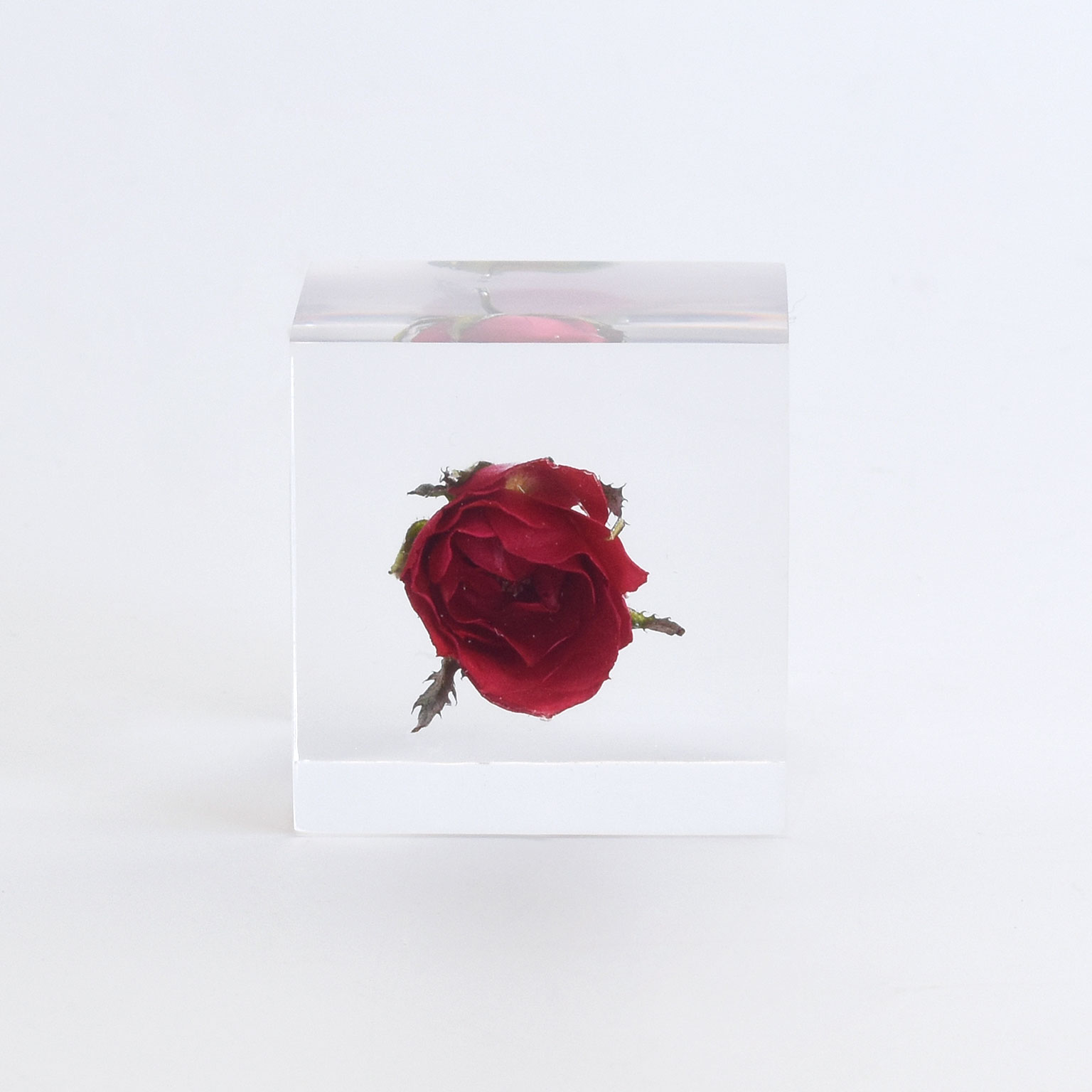 Sola cube（ソラキューブ）バラ | LIVING MOTIF｜家具・インテリア