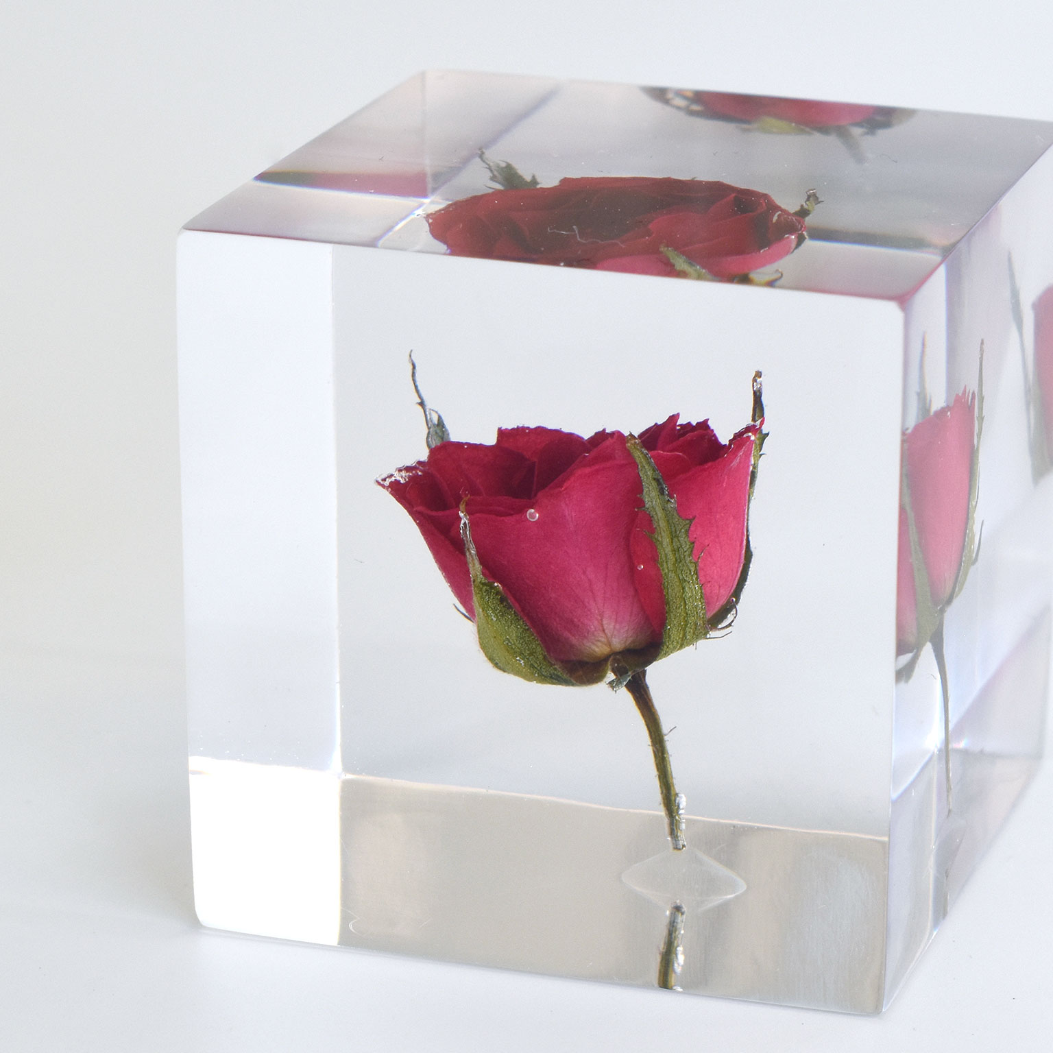 置物 Sola  Cube Sola Cube ソラキューブ 限定 サクラセット / Usagino Nedoko