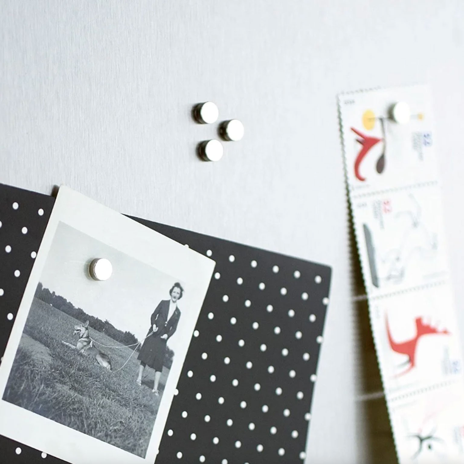 three by three（スリーバイスリー）マグネット | LIVING MOTIF｜家具